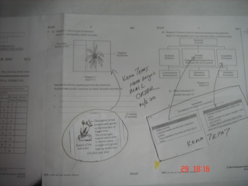 pmr-kenatepat-2009-10