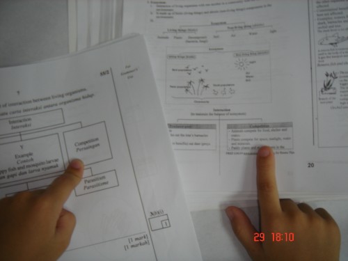 Pmr By Andrew Choo