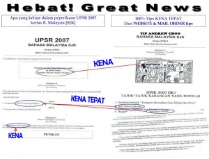 UPSR bm-1