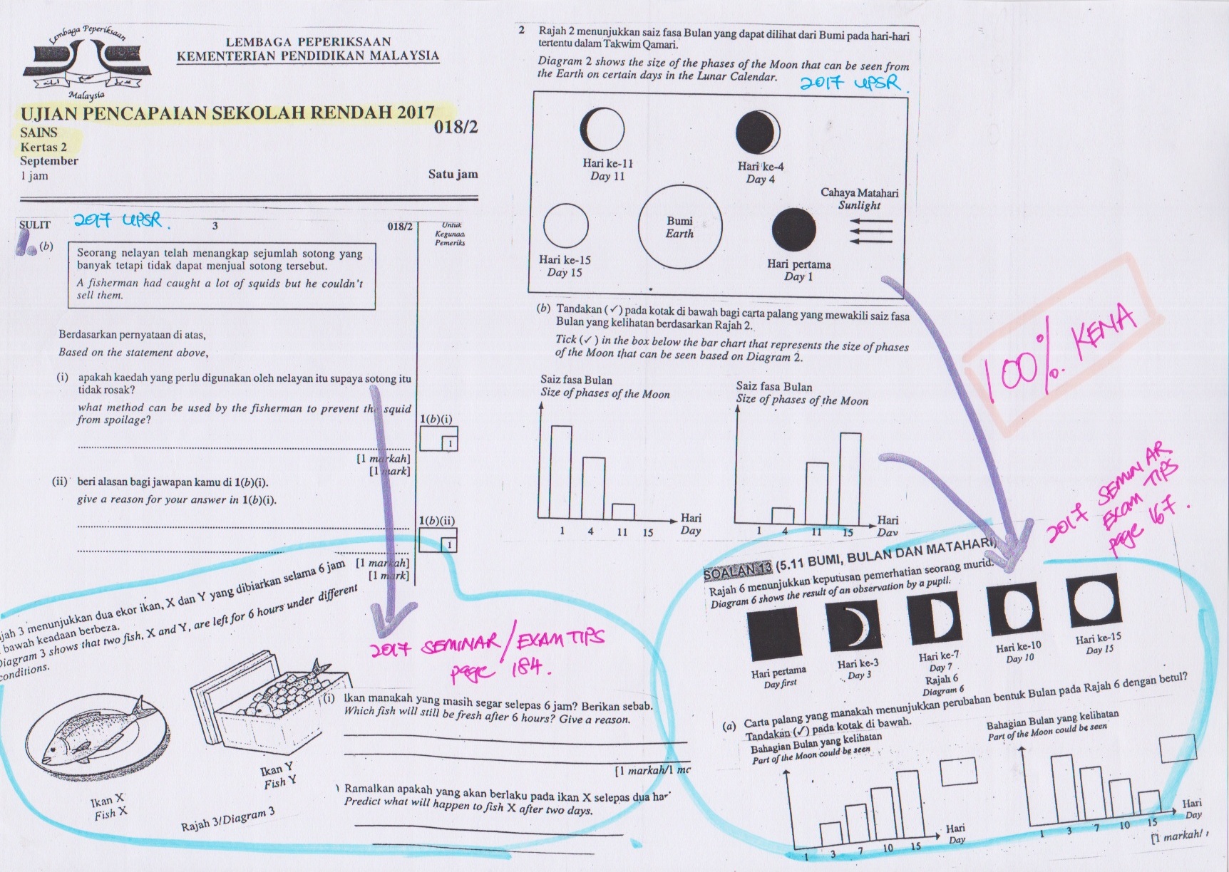 Search Results UPSR By Andrew Choo